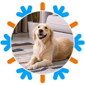 Canine Relaxation in Chilled AC Room - Reliable HVAC contractors - South Coast AC
